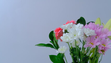 pink and white flowers, background.