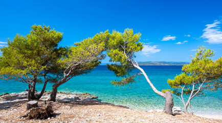 view on amazing azure adriatic sea on dalmatian coast on Makarska riviera in Dalmatia in Croatia - obrazy, fototapety, plakaty