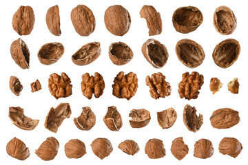 Walnut shells, cracked pieces of shell, walnut kernels different size of walnuts and shells in symmetrically lined on white background.