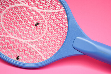 Dead flies on electric racket