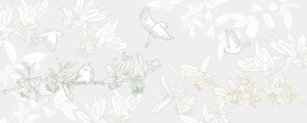 Fototapeta premium vector drawing natural background with birds and flowering honeysuckle branch, hand drawn illustration for cover design or print