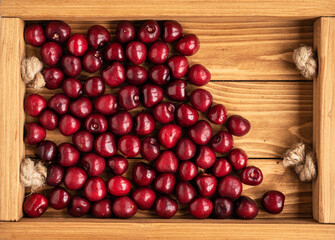 A bunch of sweet red cherries in a wooden box. Flat lay on cherry background. Berry season