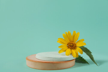 Podium concrete, yellow flower. presentation of packaging, cosmetics on blue background.