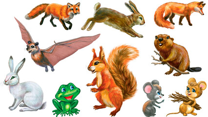 Animals from the forest