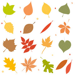 autumn leaves collection silhouette set isolated, vector