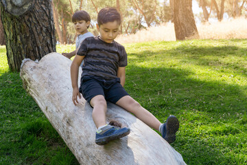 multiethnic kids sliding on a tree trunk on the park