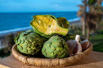 Green heads of artichokes plants uncooked with blue sea on background