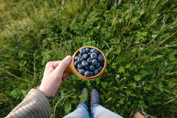 Ripe  juicy blueberries  in traditional wooden Sami Cup (kuksa) in hand on a background of green...