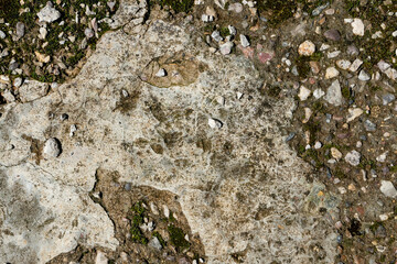 Soil sand stone concrete texture