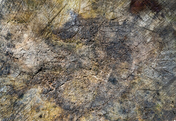 Old wood dark texture