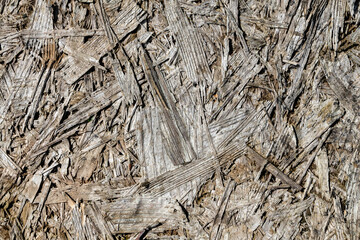 Wood chips texture