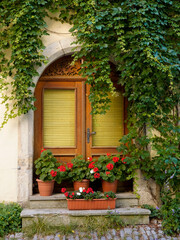 Old house and wooden door with red flowers