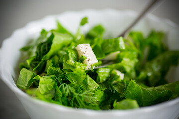 fresh green lettuce salad with mozzarella and herbs in a bowl