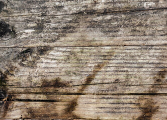 Old wood gray burnt texture
