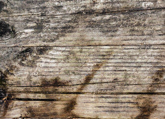 Fototapeta premium Old wood gray burnt texture