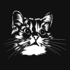 Vector sketch of a kitten's face. vector illustration
