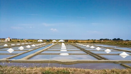 Salt marshes on the island of Noirmoutier, France - obrazy, fototapety, plakaty