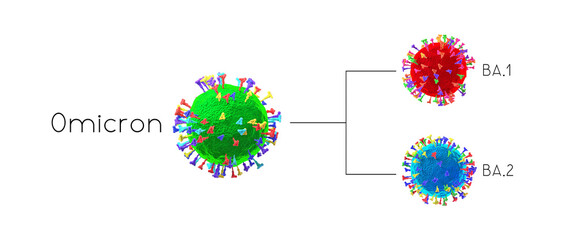 BA.1, BA.2 - SARS-CoV-2 Covid-19 coronavirus omicron variants -