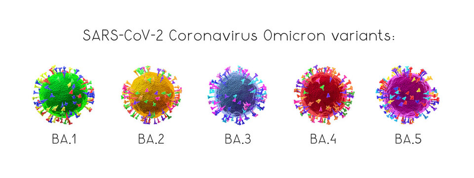 BA.1, BA.2, BA.3, BA.4, BA.5 - SARS-CoV-2 Covid-19 coronavirus o