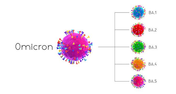 BA.1, BA.2, BA.3, BA.4, BA.5 - SARS-CoV-2 Covid-19 coronavirus o