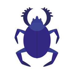 egyptian culture bug