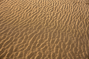 Ripples of Golden Sand Spread Across the Image