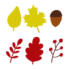 Obraz premium Autumn forest leaves and berries. Birch, oak, rowan, maple, acorn