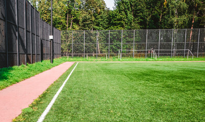 Green lawn of a football field fenced with a high black metal fence in the forest