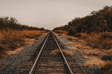 Vintage Railroad leading off into distance