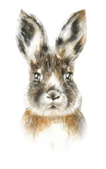Hand-painted watercolor Easter bunny illustration.Rabbit face head portrait.Chinese Year 2023 symbol poster, Cute Character creator diy. For baby shower,birthday,Easter egg hunt,greeting card print