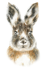 Hand-painted watercolor Easter bunny illustration.Rabbit face head portrait.Chinese Year 2023 symbol poster, Cute Character creator diy. For baby shower,birthday,Easter egg hunt,greeting card print