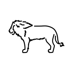 Lion color line illustration