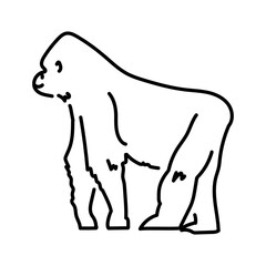 Obraz premium Gorilla color line illustration