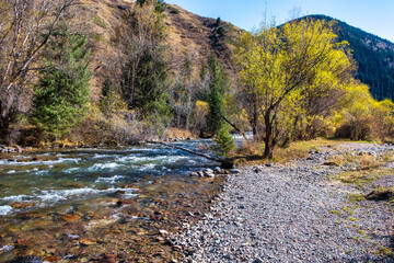 river in autumn