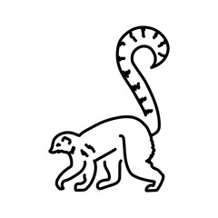 Lemur color line illustration © Backwoodsdesign