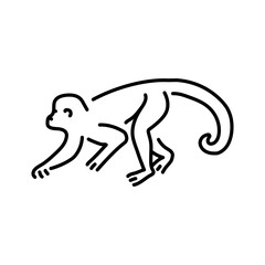 Monkey color line illustration. Animals of Africa.
