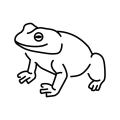 Tailless frog color line illustration. Animals of Australia