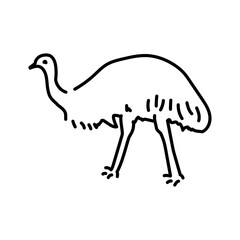 Fototapeta na wymiar Australian ostrich Emu color line illustration. Animals of Australia