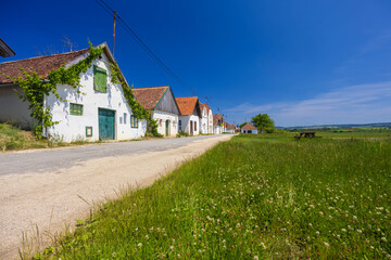 Traditional wine cellars street in Diepolz near Mailberg, Lower Austria, Austria