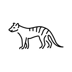 Fototapeta na wymiar Marsupial wolf color line illustration. Animals of Australia