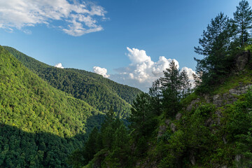 Fototapeta na wymiar Beautiful forest landscape green hills in the mountains.