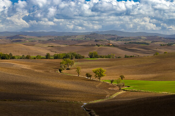Fototapeta na wymiar Typical Tuscan landscape near Siena, Tuscany, Italy