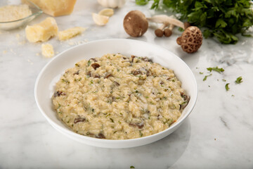 MUSHROOM RISOTTO served in a dish isolated on grey background side view