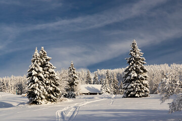 Winter landscape around Mala Upa, Giant Mountains (Krkonose), Northern Bohemia, Czech Republic
