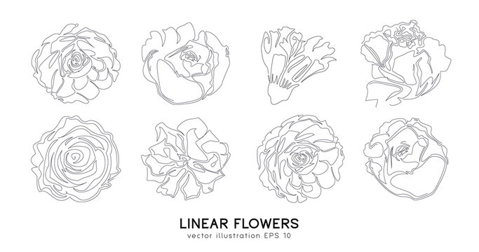 Set of hand drawn flowers. Roses, poppies, hibiscus, magnolia, peony, lily, orchid in single continuous line style. Sketch of floral silhouettes. Contour art of floral elements