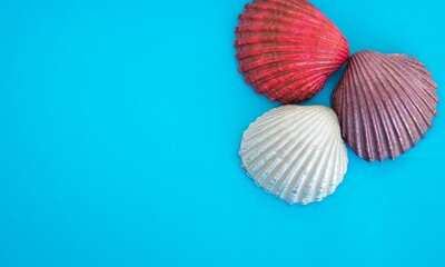 Shell Background Very Cool