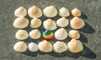 Shell Background Very Cool