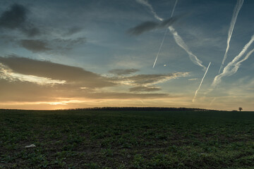 A scenic winter sunset over a large meadow.