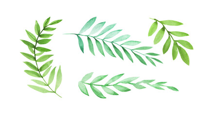Set of watercolor green leaves. Best for design, wedding invitations, greeting cards, scrapbooking and banners