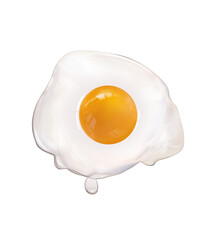 oeuf, aliment, petit déjeuner, frire, blanc, cholestérol, protéine, assiette, sain, cuisiner, frais, plat, gros plan